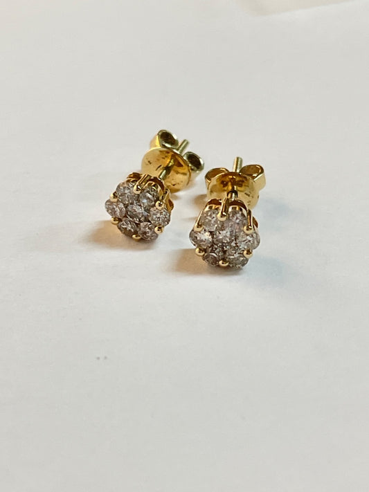 14K Yellow Gold  Earring with Diamond