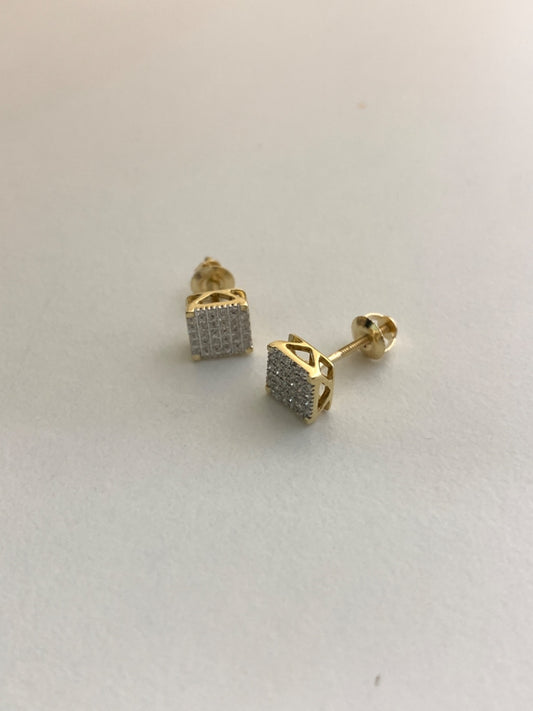 14K Yellow Gold  Earring with Diamond