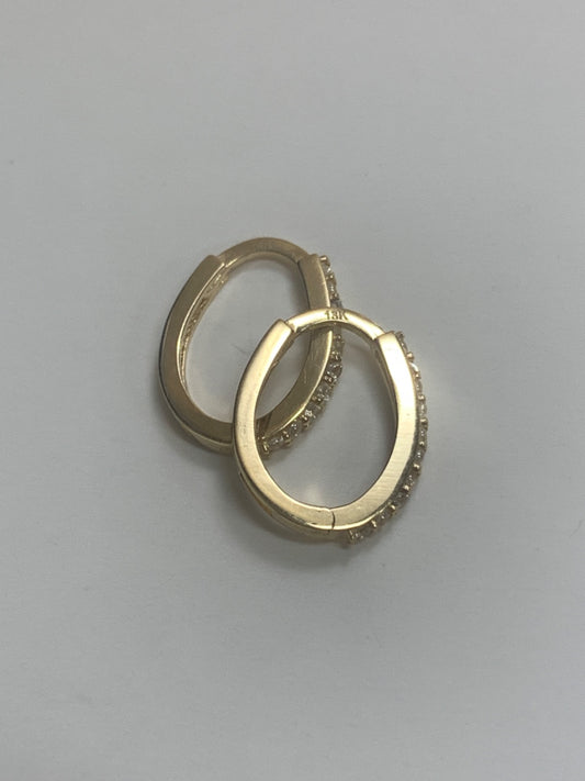 18K Yellow Gold  Earring with CZ