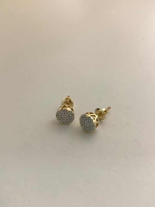 14K Yellow Gold  Earring with Diamond