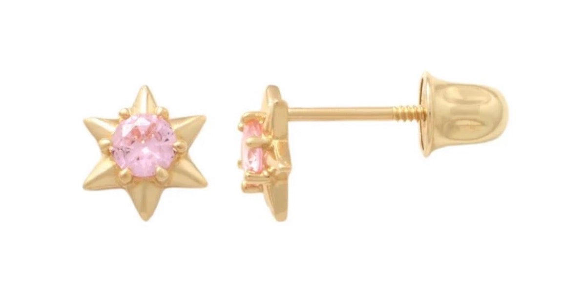 14K Yellow Gold  Earring with CZ