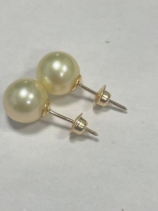 18K Yellow Gold  Earring with Pearl