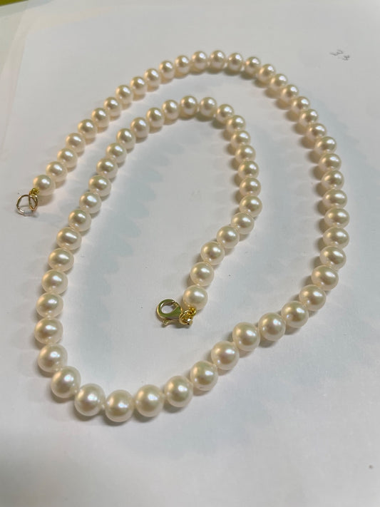 14K Yellow Gold  Necklace with Pearl