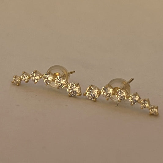 14K Yellow Gold  Earring with CZ